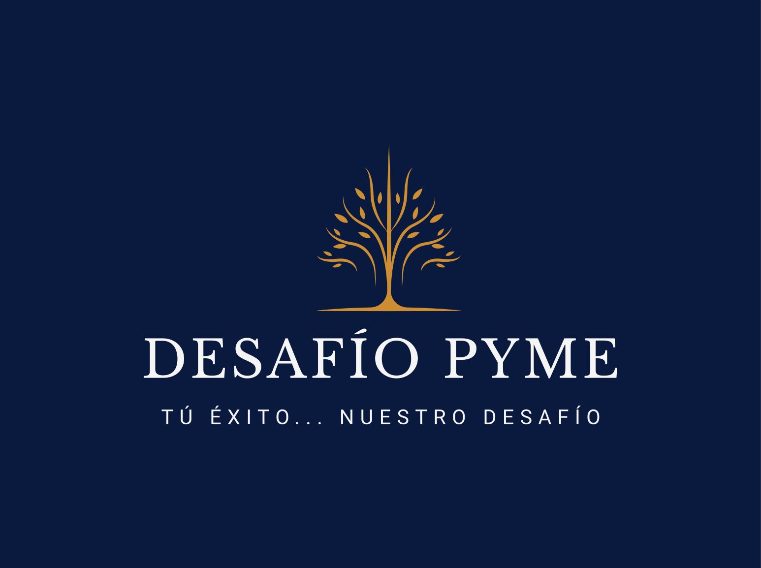 Desafío Pyme