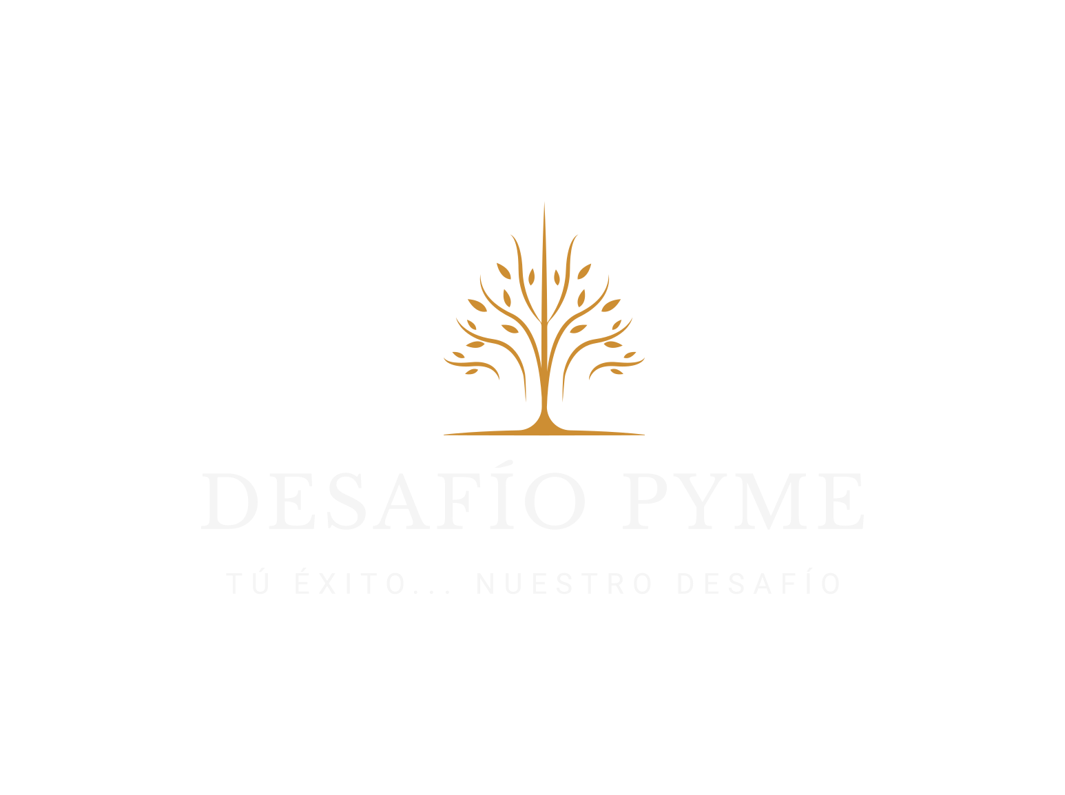 Desafío Pyme